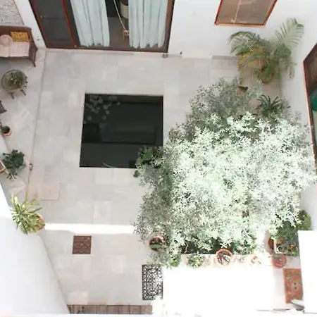 Unika Homes Alfalfa & Terrace סביליה